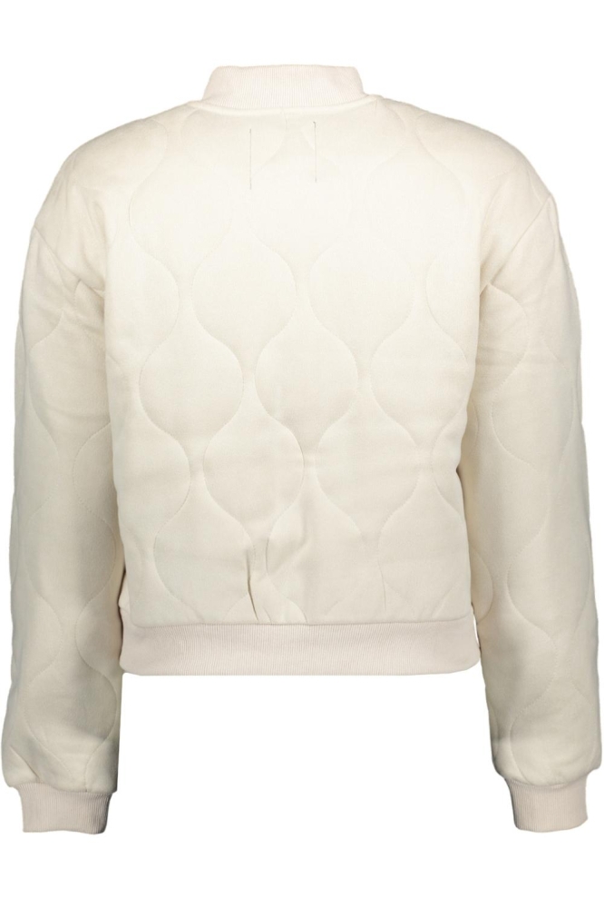 VMQUIN LS SUEDE BOMBER JACKET 10335388 BIRCH